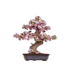Robotime Diy 3D Houten Modelbouwpakket Sakura Bonsai Tg415 161111X17Cm Robotime Diy 3D Houten Modelbouwpakket Sakura Bonsai Tg415 161111X17Cm