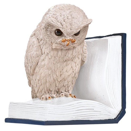 Boekensteun Uil Op Boek