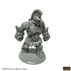 Bronze Golem Bronze Golem