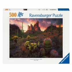 Cactus (500) Cactus (500)