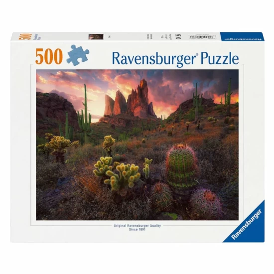 Cactus (500) Cactus (500)