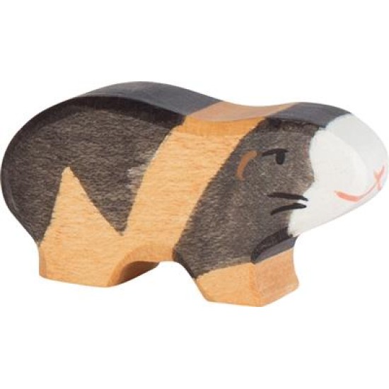 Cavia