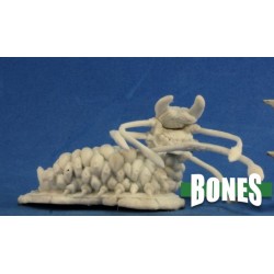 Charnel Grub Charnel Grub