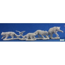 Companion Animals Companion Animals