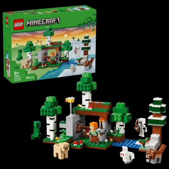 Lego Minecraft 21593 First Night Adventure