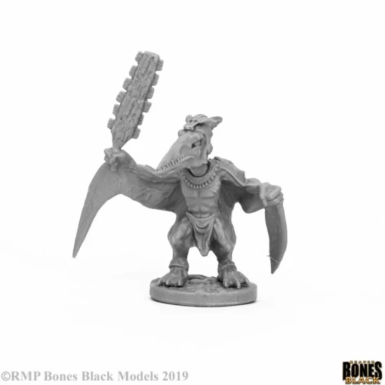 Dinosaur Druid Skywing