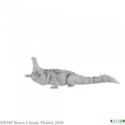 Dire Crocodile Dire Crocodile