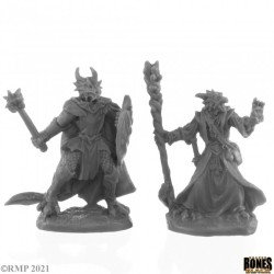 Dragonfolk Wizard And Cleric Dragonfolk Wizard And Cleric