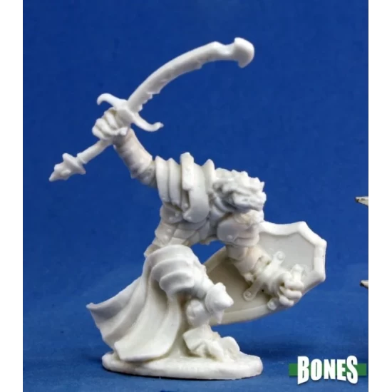 Dragonman Fighter