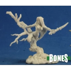 Drys Dryad Drys Dryad