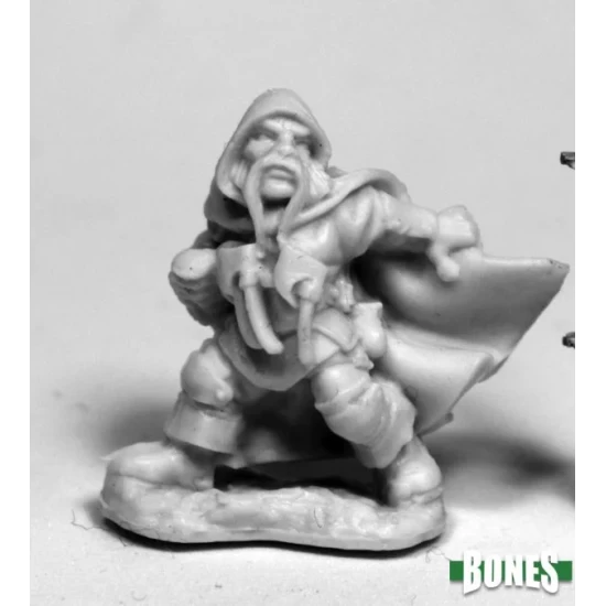 Dwarf Rogue Klaus
