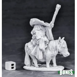 Dwarf Wizard Mounted