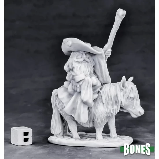 Dwarf Wizard Mounted