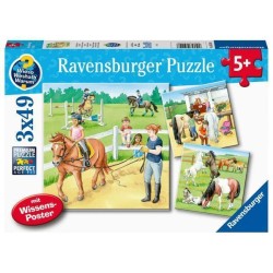 Een Dag Op De Manege 3X49St.