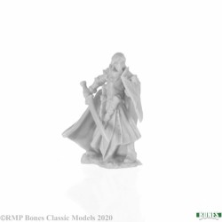 Elf Paladin Alandin