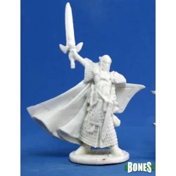 Elf Paladin Turanil