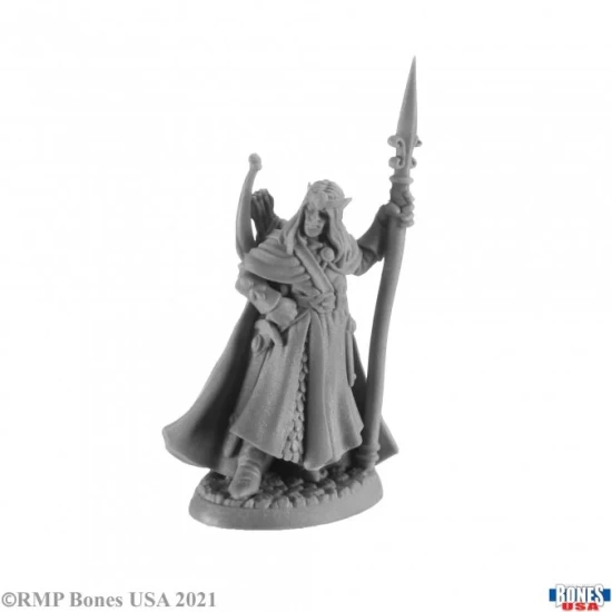 Elf Ranger Elanter