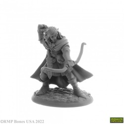 Elf Ranger Lanaerel Grayleaf Elf Ranger Lanaerel Grayleaf