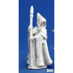Elf Wizard Anirion