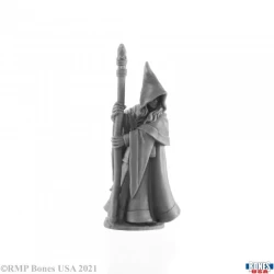 Elf Wizard Anirion (77068)