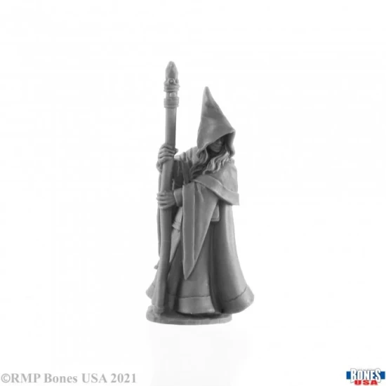 Elf Wizard Anirion (77068)