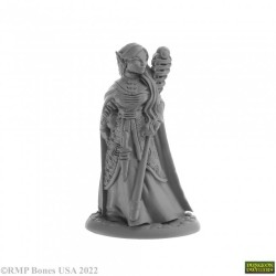 Elf Wizard Anthanelle
