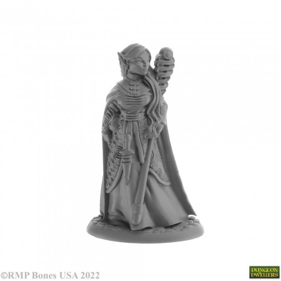 Elf Wizard Anthanelle