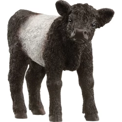 Schleich Farm World Galloway Kalf