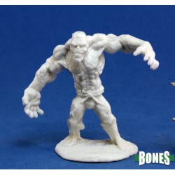 Flesh Golem Flesh Golem