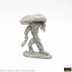 Fungal Guardian Fungal Guardian