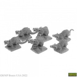 Giant Tomb Rats (6) Giant Tomb Rats (6)