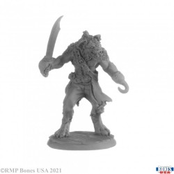 Gnoll Ranger Hakkle Gnoll Ranger Hakkle