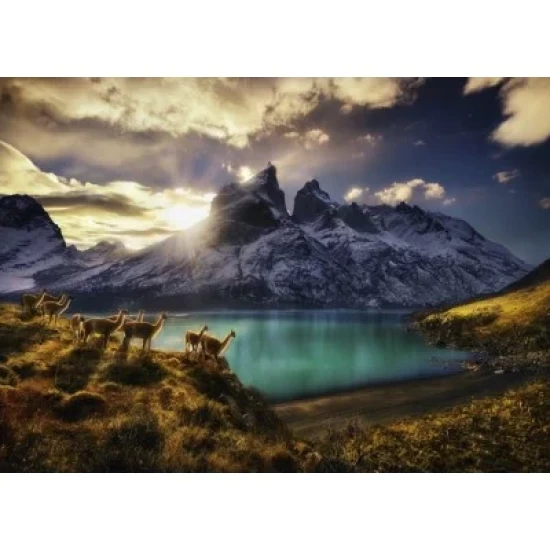 Puzzel Guanacos 1000 St.heye 29815
