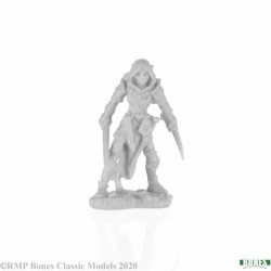 Half-Elf Rogue Shardis Half-Elf Rogue Shardis