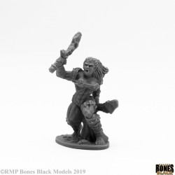 Half-Orc Fighter Jade Fire