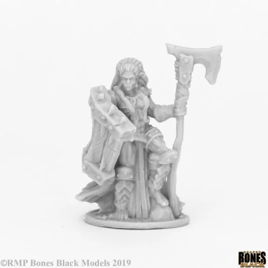 Half-Orc Paladin Chieftain