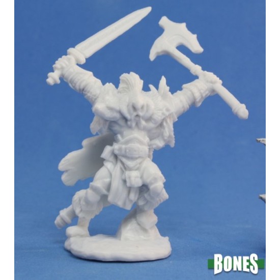 Human Barbarian Kord