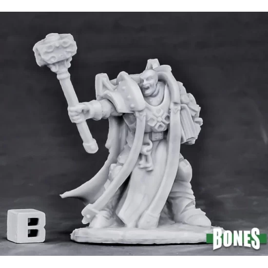 Human Cleric Ardent
