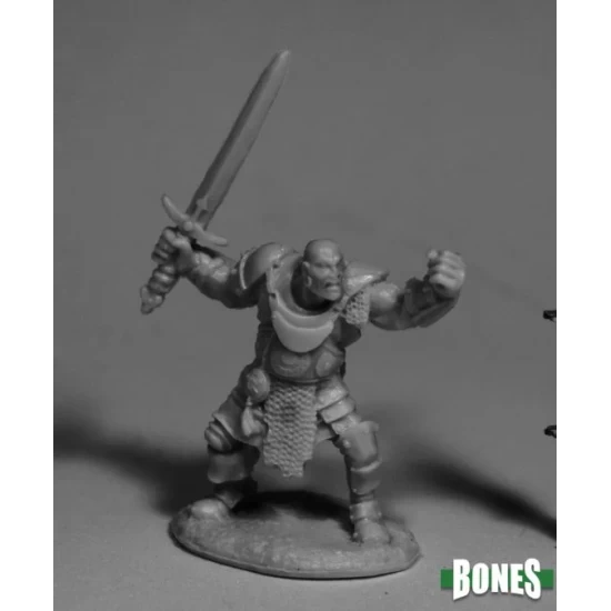 Human Fighter Bandit Bully