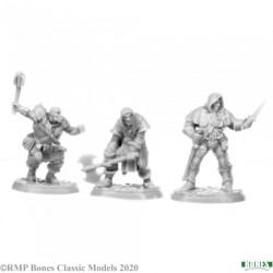 Human Fighter Brigands Human Fighter Brigands