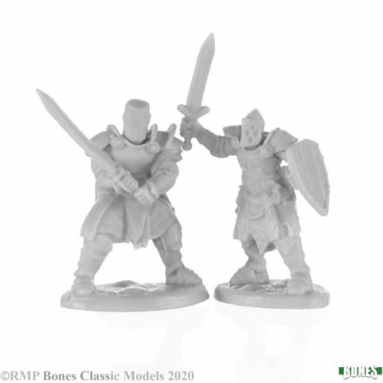Human Fighter Knight Heroes