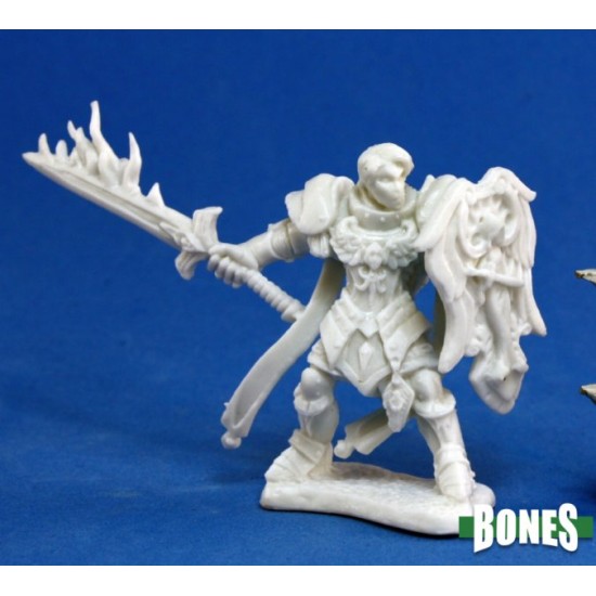 Human Paladin Almaran