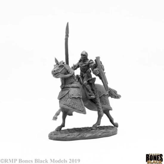 Human Paladin Cavalry