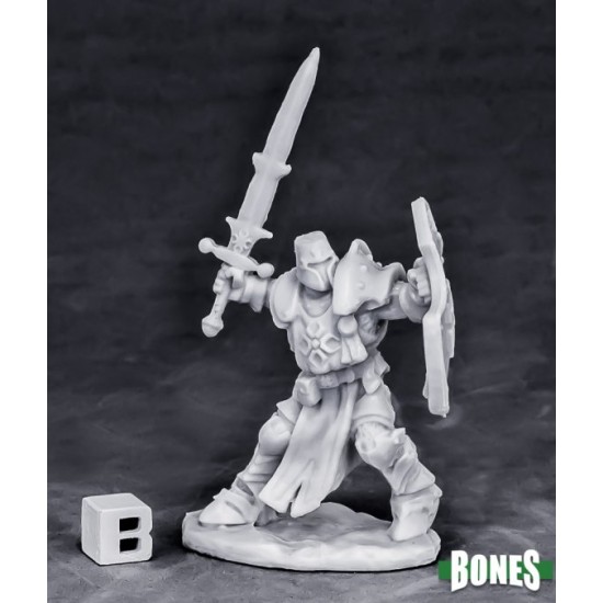 Human Paladin Champion