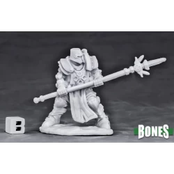 Human Paladin Defender Human Paladin Defender