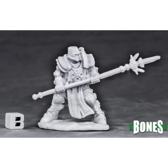 Human Paladin Defender