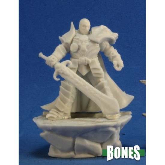 Human Paladin Evil