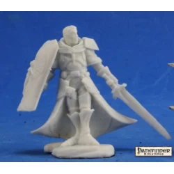 Human Paladin Holy Vindicator Human Paladin Holy Vindicator