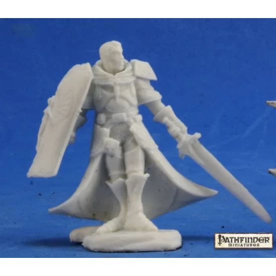 Human Paladin Holy Vindicator