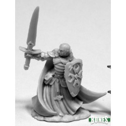 Human Paladin Sir Malcolm Human Paladin Sir Malcolm